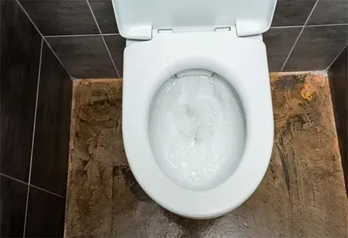 Desentupidora de Vaso Sanitário Urgente na Zona Sul